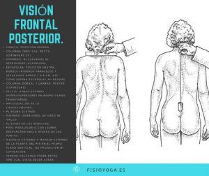 vision frontal posterior postura fisioyoga
